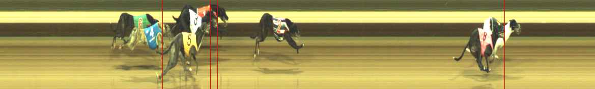 Photo finish for Warragul Race 11
