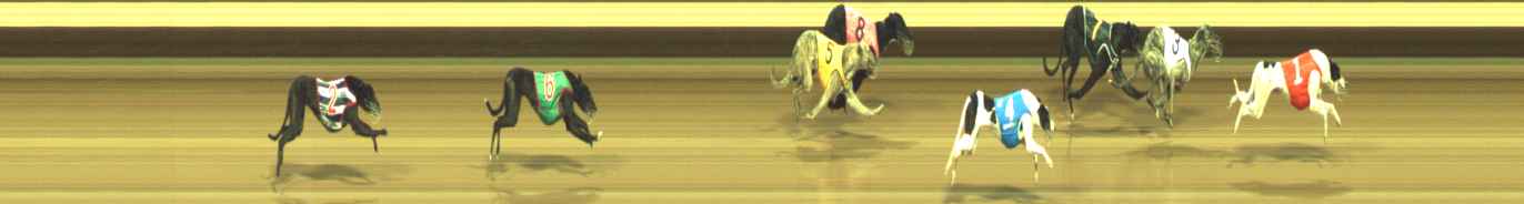 Photo finish for Warragul Race 12