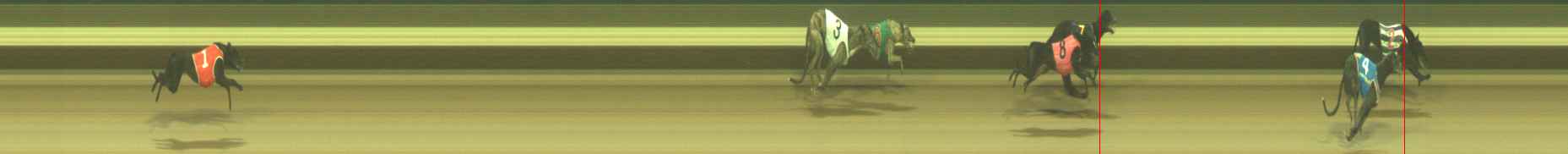 Photo finish for Warragul Race 2