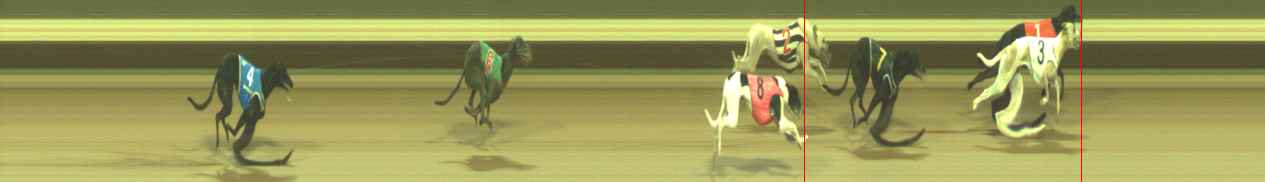 Photo finish for Warragul Race 3