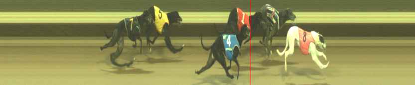 Photo finish for Warragul Race 4