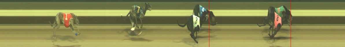Photo finish for Warragul Race 5