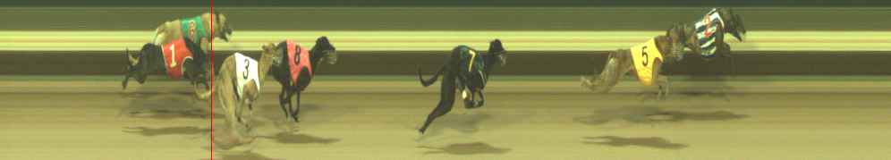Photo finish for Warragul Race 6