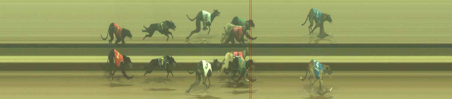 Photo finish for Warragul Race 7