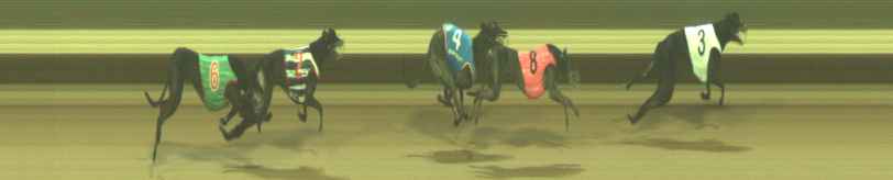 Photo finish for Warragul Race 8
