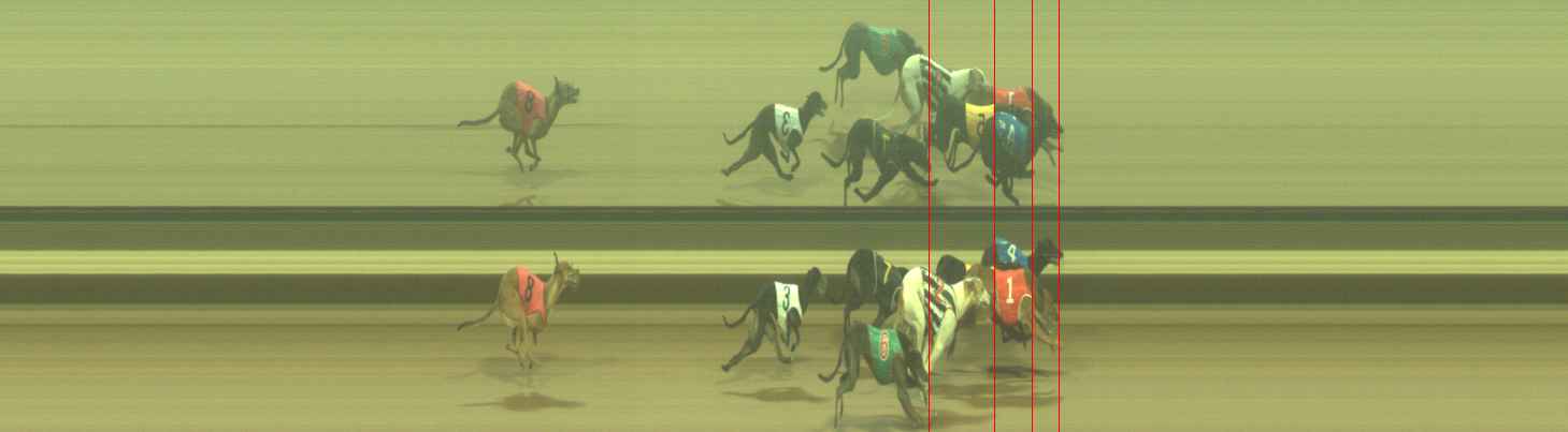 Photo finish for Warragul Race 11