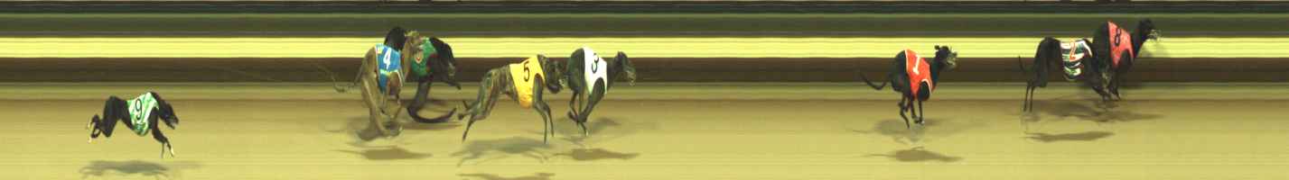 Photo finish for Warragul Race 1