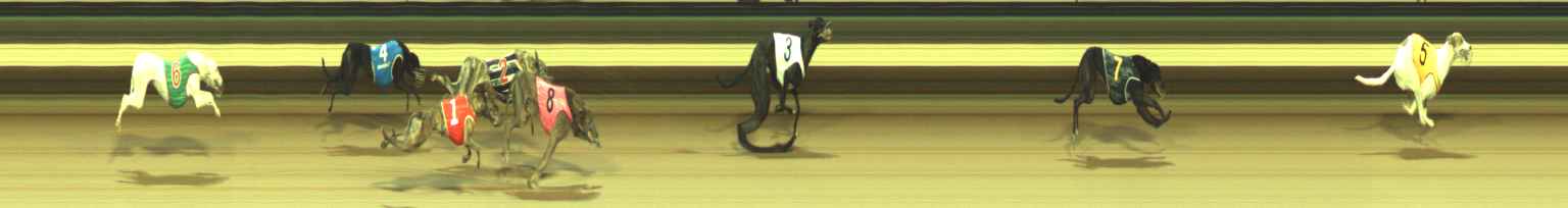 Photo finish for Warragul Race 2
