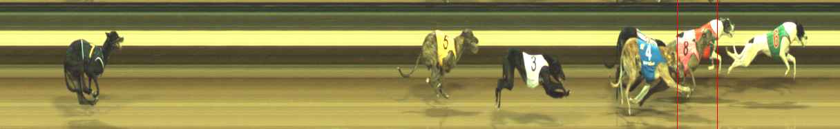Photo finish for Warragul Race 4