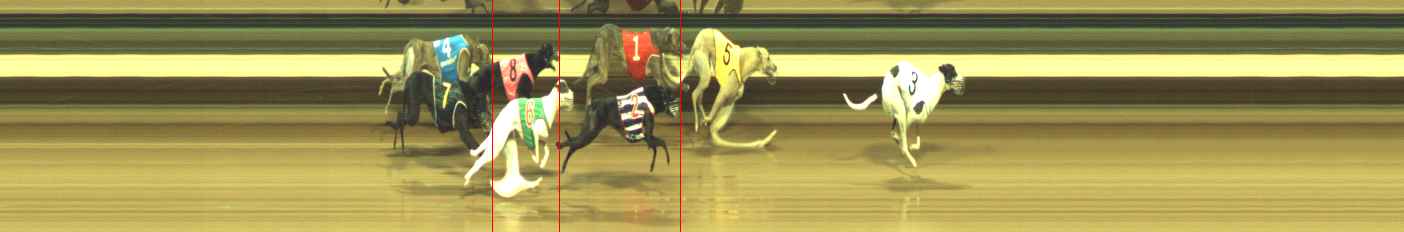 Photo finish for Warragul Race 5