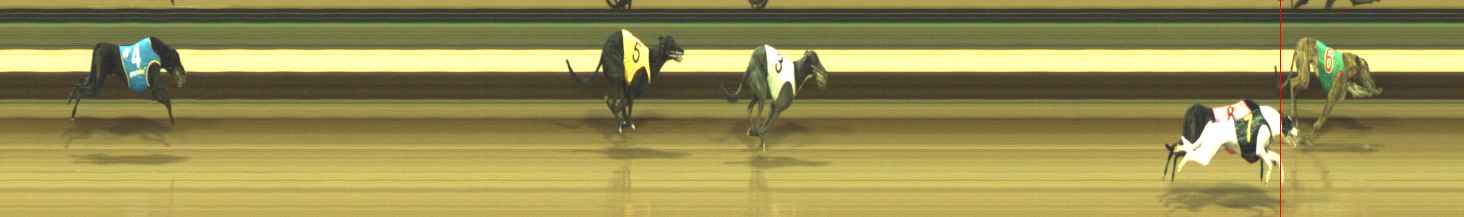 Photo finish for Warragul Race 6