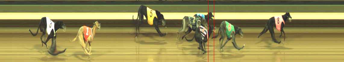 Photo finish for Warragul Race 7