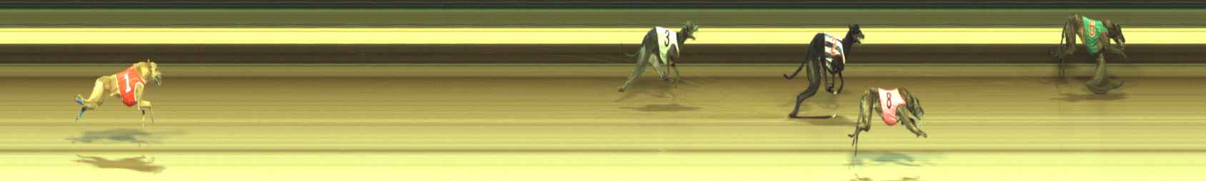 Photo finish for Warragul Race 8