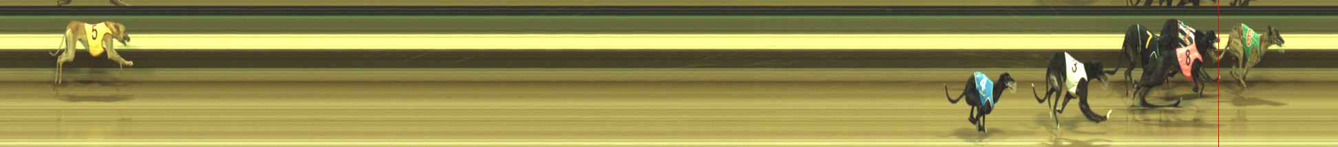 Photo finish for Warragul Race 10