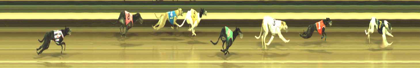 Photo finish for Warragul Race 12