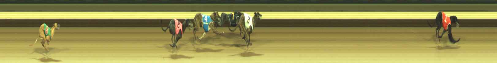 Photo finish for Warragul Race 1