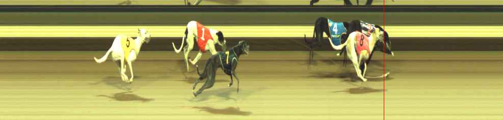 Photo finish for Warragul Race 3