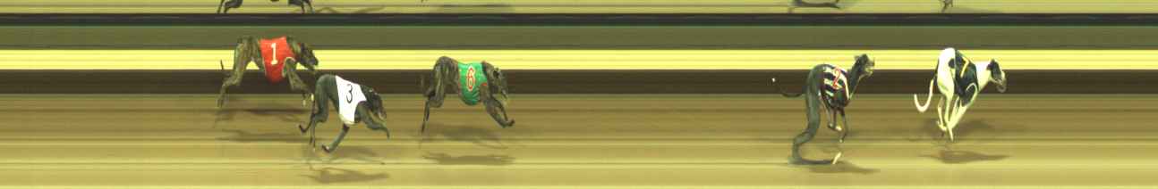 Photo finish for Warragul Race 4