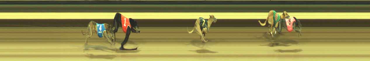 Photo finish for Warragul Race 5