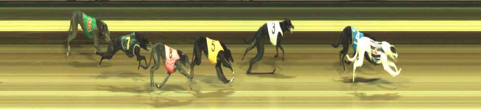 Photo finish for Warragul Race 7