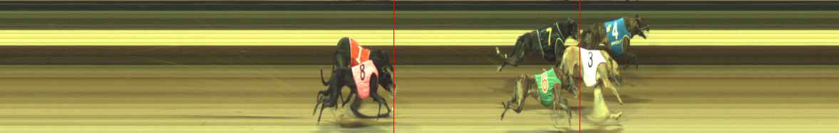 Photo finish for Warragul Race 8