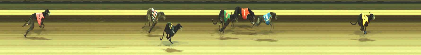 Photo finish for Warragul Race 9