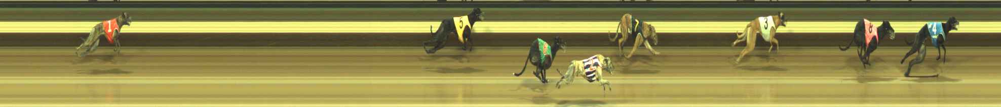 Photo finish for Warragul Race 10