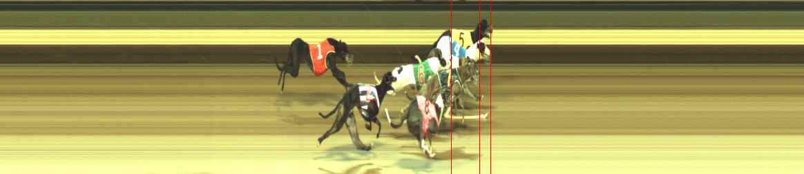 Photo finish for Warragul Race 11