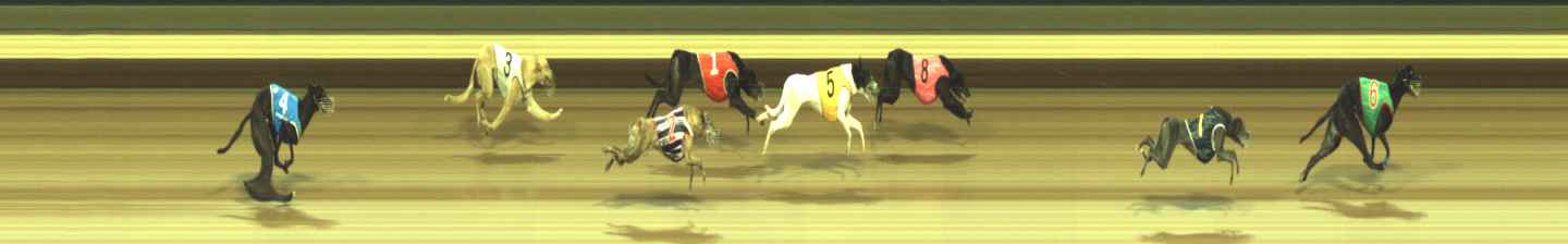 Photo finish for Warragul Race 12