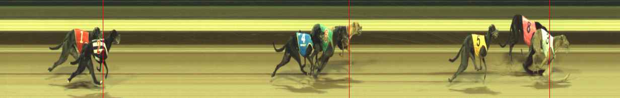 Photo finish for Warragul Race 1