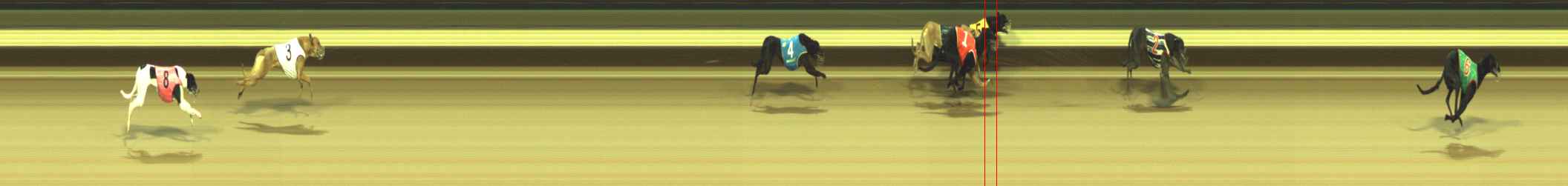 Photo finish for Warragul Race 2