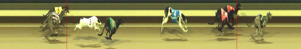 Photo finish for Warragul Race 3
