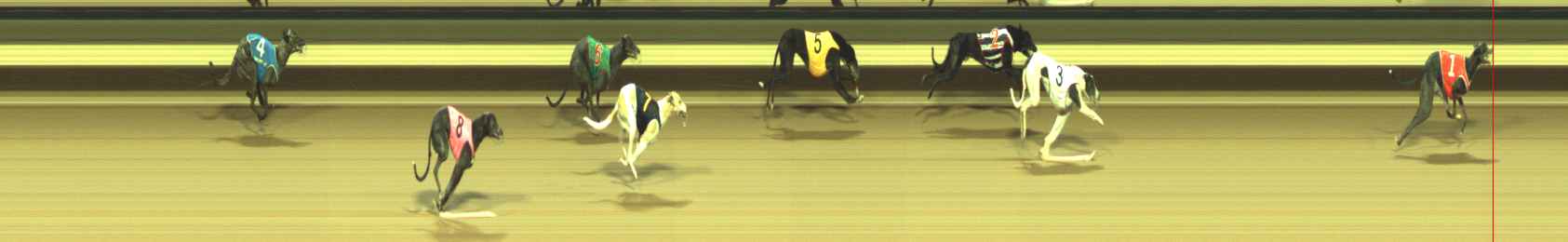 Photo finish for Warragul Race 4