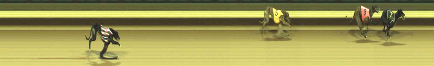 Photo finish for Warragul Race 5