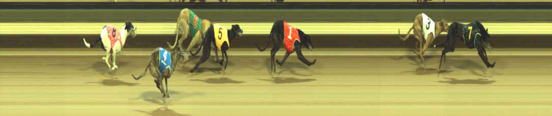 Photo finish for Warragul Race 6