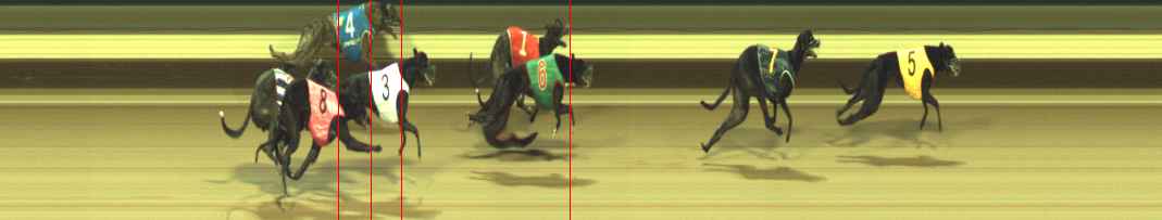 Photo finish for Warragul Race 8