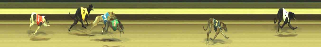 Photo finish for Warragul Race 9