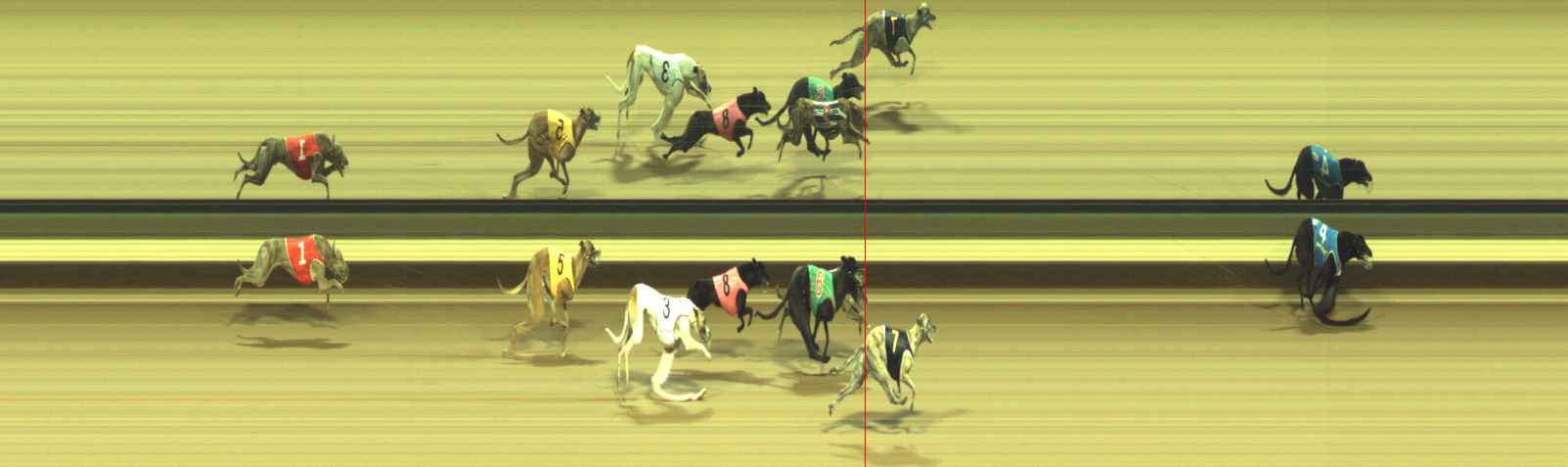 Photo finish for Warragul Race 11