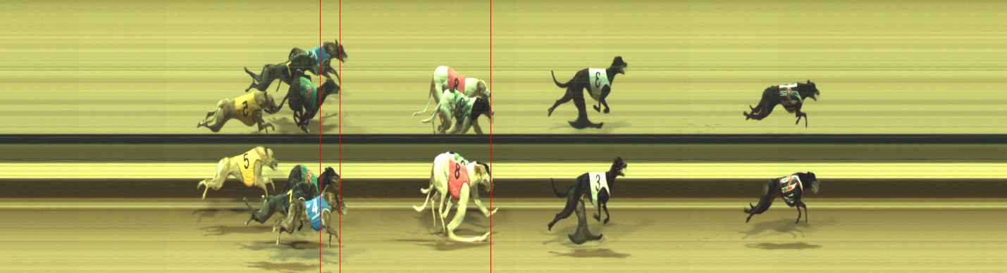 Photo finish for Warragul Race 12