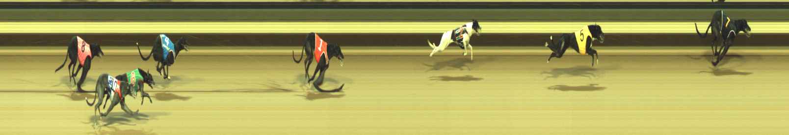 Photo finish for Warragul Race 1