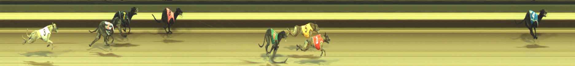 Photo finish for Warragul Race 2