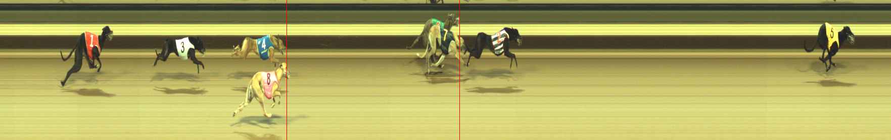 Photo finish for Warragul Race 3