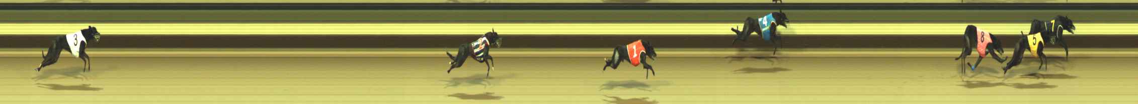 Photo finish for Warragul Race 4