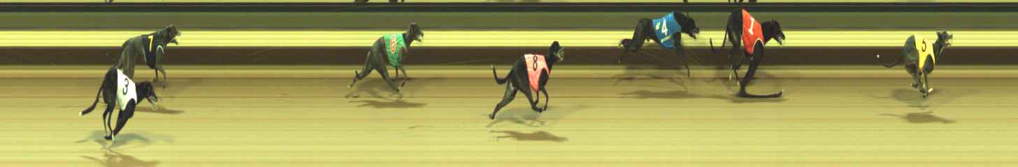 Photo finish for Warragul Race 5