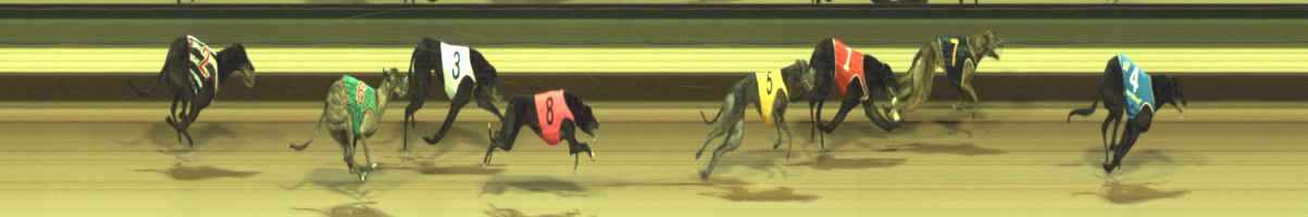 Photo finish for Warragul Race 7