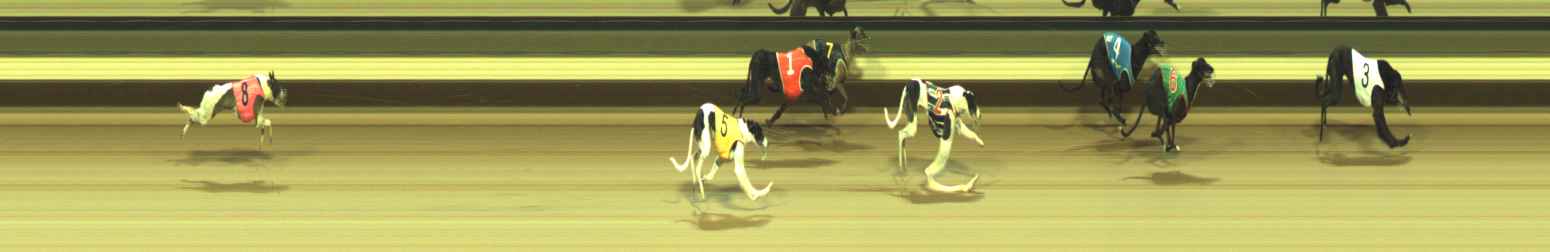 Photo finish for Warragul Race 8