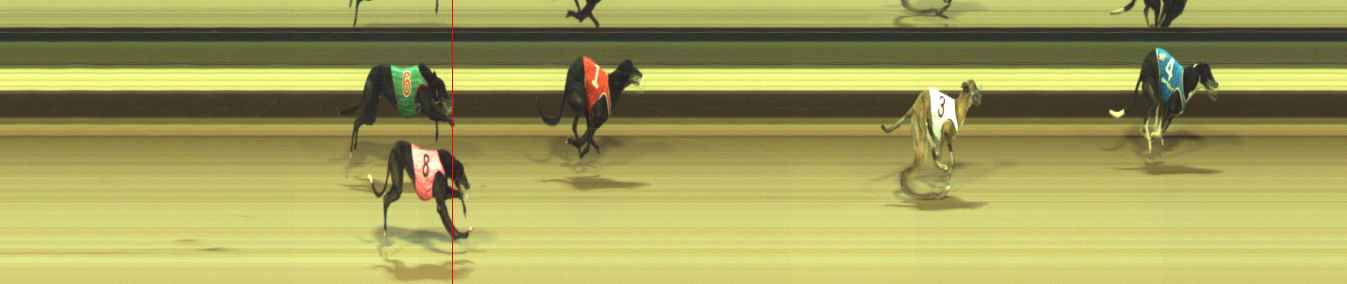 Photo finish for Warragul Race 9