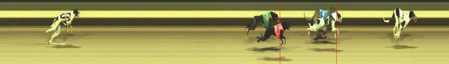 Photo finish for Warragul Race 10