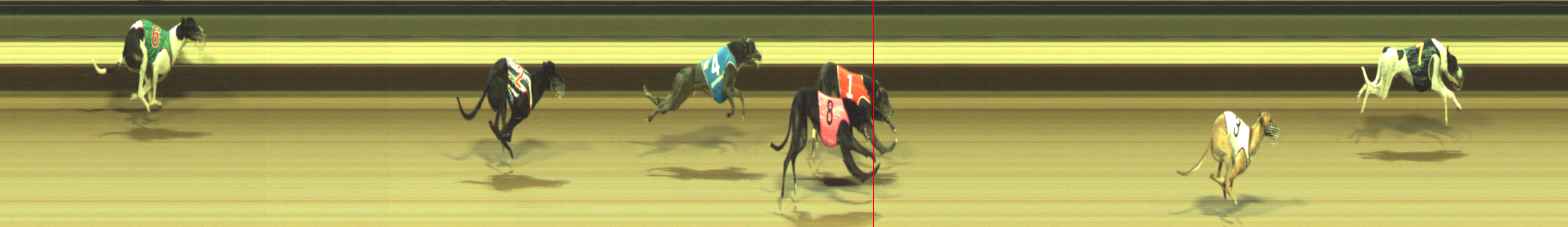 Photo finish for Warragul Race 11
