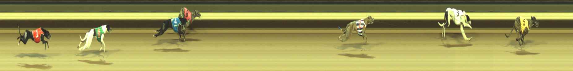 Photo finish for Warragul Race 12